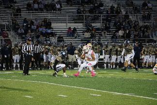 October 11 2019 IMG_2078107